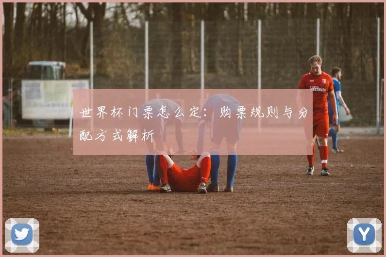 世界杯门票怎么定：购票规则与分配方式解析