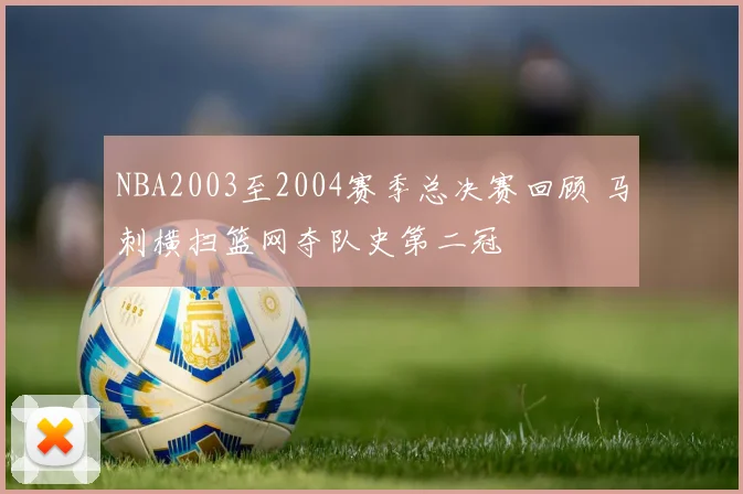 NBA2003至2004赛季总决赛回顾 马刺横扫篮网夺队史第二冠