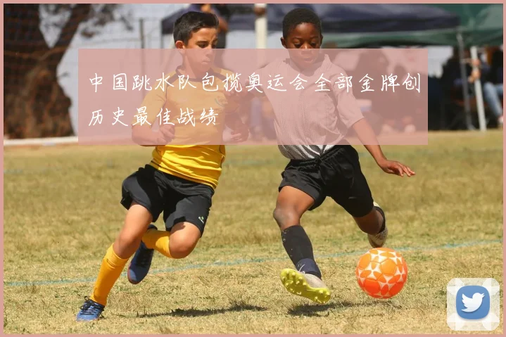 中国跳水队包揽奥运会全部金牌创历史最佳战绩