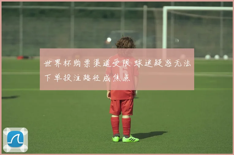 世界杯购票渠道受限 球迷疑惑无法下单投注路径成焦点