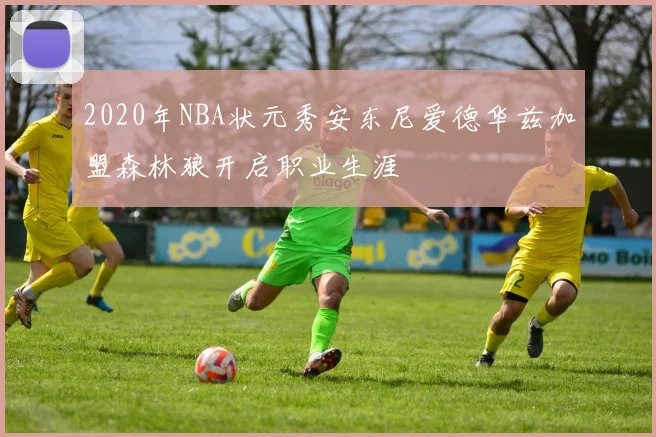 2020年NBA状元秀安东尼爱德华兹加盟森林狼开启职业生涯